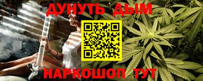 индика Можга