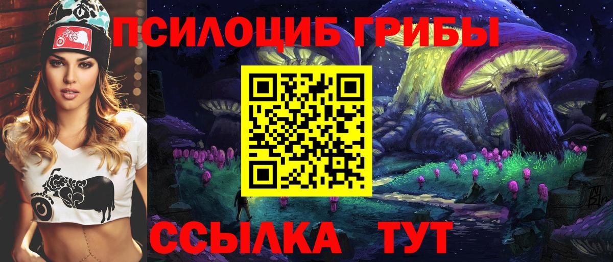 Галлюциногенные грибы GOLDEN TEACHER  цена наркотик  Псилоцибиновые грибы прущие грибы  Шахты  Вход с VPN 