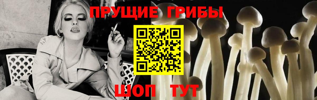Галлюциногенные грибы мицелий Шахты